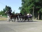 lovasnap-2013-015.jpg