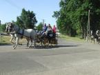 lovasnap-2013-016.jpg