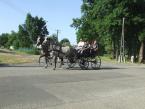 lovasnap-2013-017.jpg