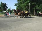 lovasnap-2013-018.jpg
