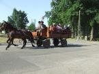 lovasnap-2013-022.jpg