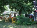 lovasnap-2013-036.jpg