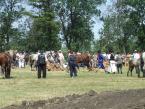 lovasnap-2013-047.jpg