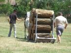lovasnap-2013-051.jpg